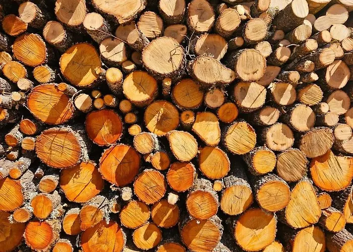 シャレー La Era De Lardiés